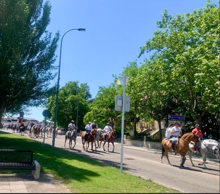 Medina Feria del Caballo en Medina del Campo