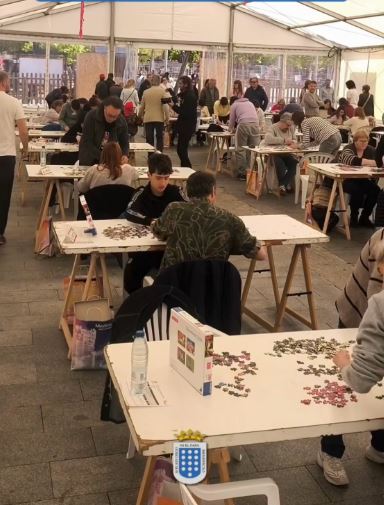 Medina Torneo puzlezs en Medina del Campo