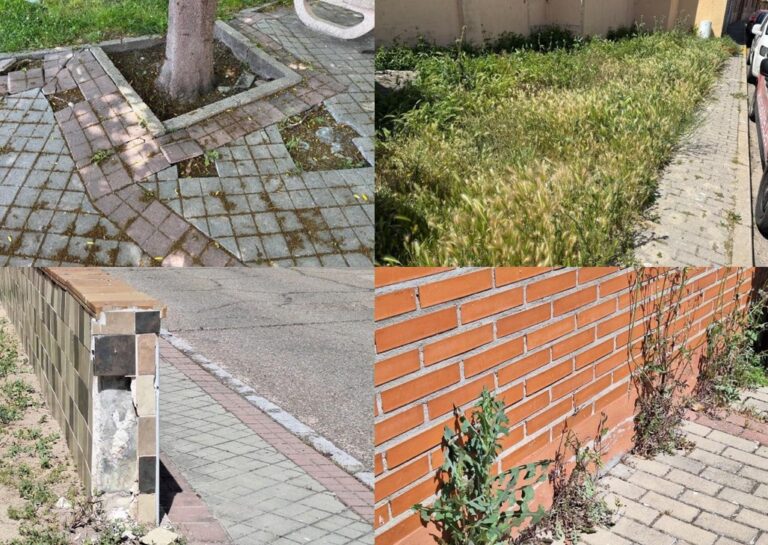 SANTIAGO en Medina del Campo