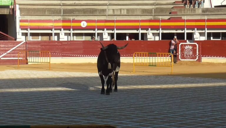 cagada manso en Medina del Campo