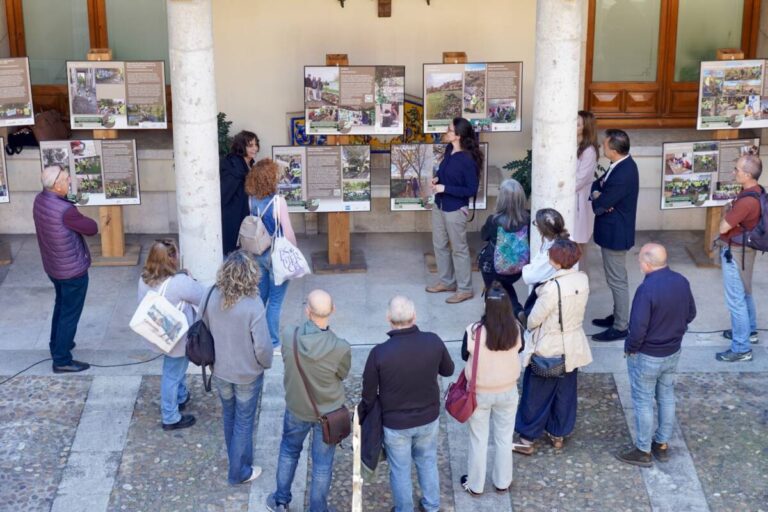 voluntariado diputacion en Valladolid