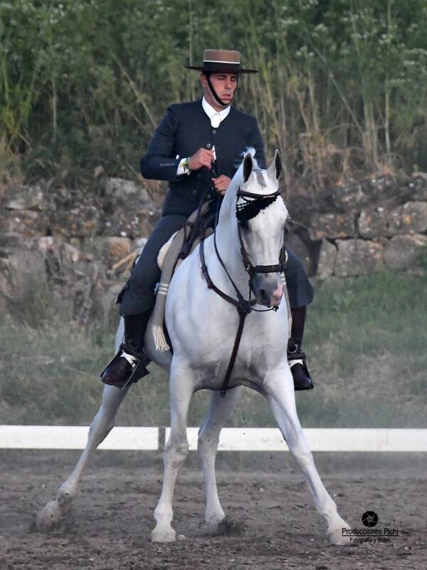 WhatsApp Image 2026-06-15 at 18.55.35 (1) en Medina del Campo