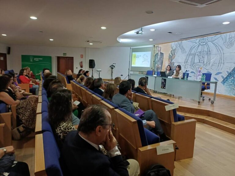 violencia vicaria en Castilla y León